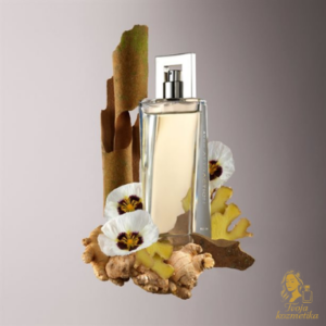 Attraction for Him EDT